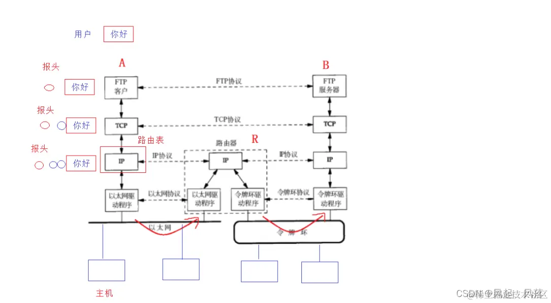 【计算机网络】网络基础