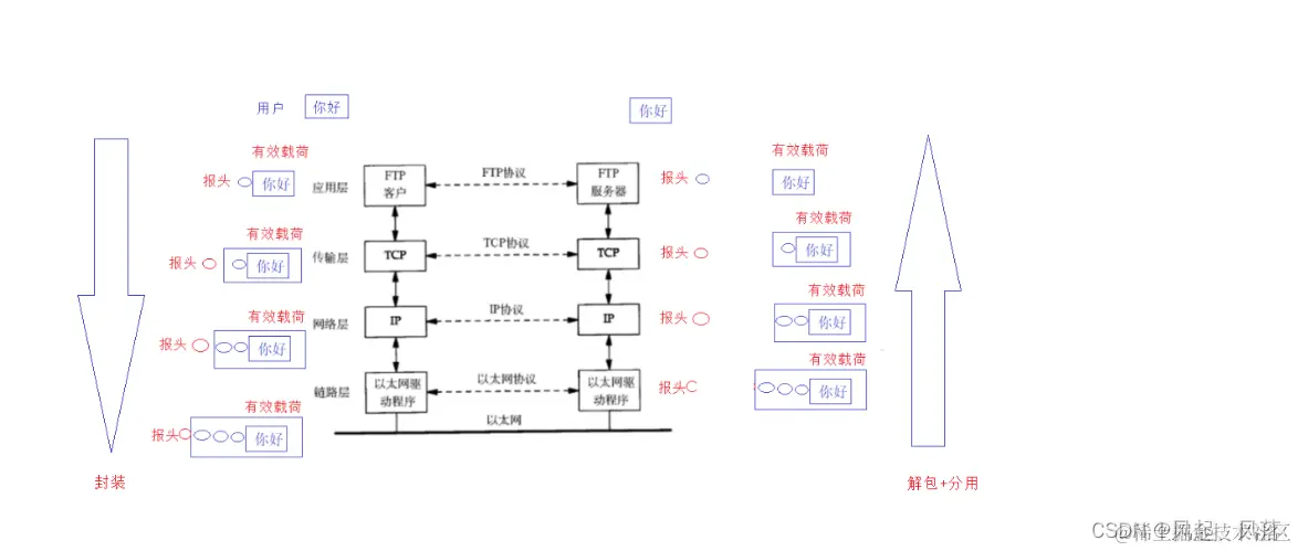 【计算机网络】网络基础