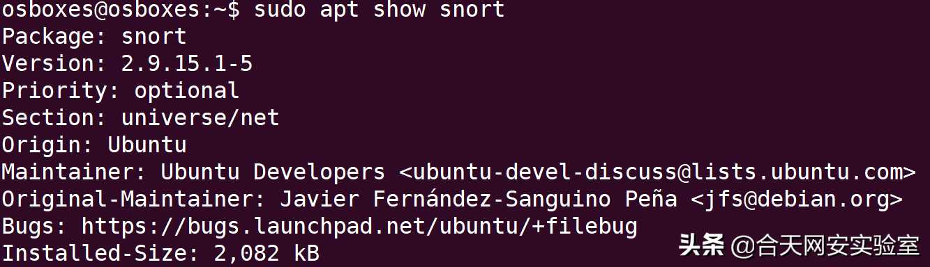 在Ubuntu 上安装和配置Snort 3 NIDS[亲测有效]