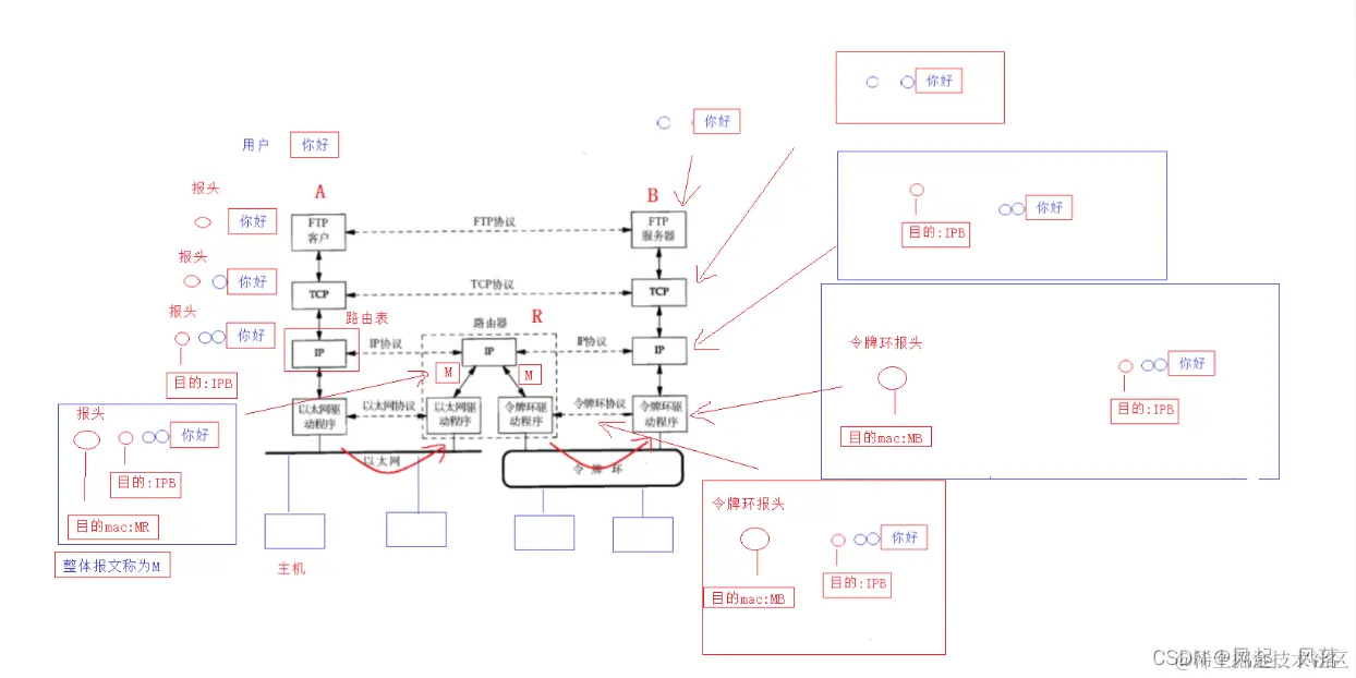 【计算机网络】网络基础