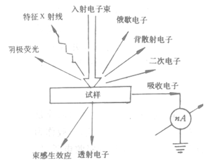 关于扫描电子显微镜的问题_扫描电子显微镜和透射电子显微镜[通俗易懂]