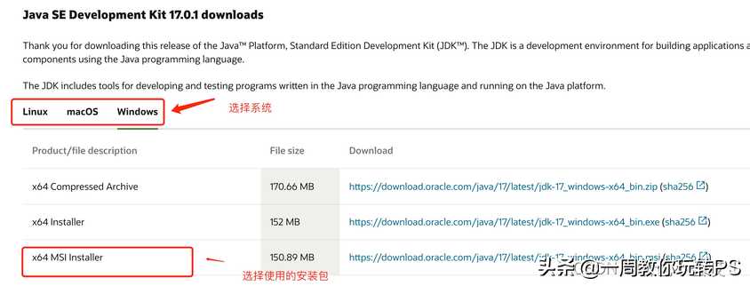 Java SE 基础教程—JDK的下载安装及环境变量的配置（win10详细版）