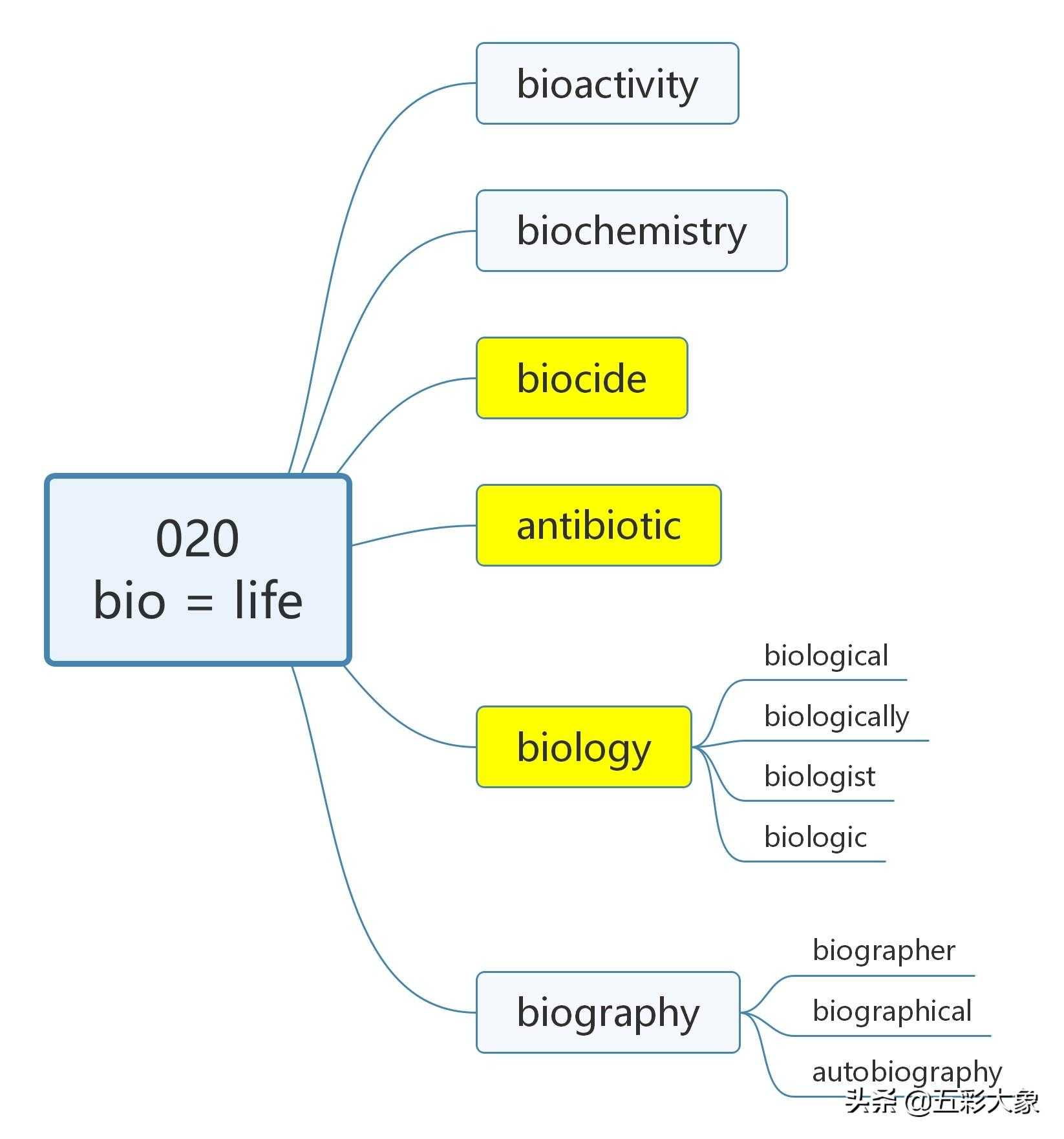 bi为词根的单词_bio为前缀常见的单词
