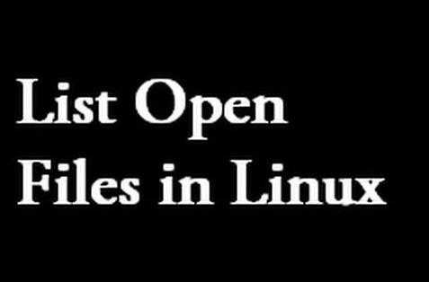 linux 查询打开文件数_linux lsof[通俗易懂]