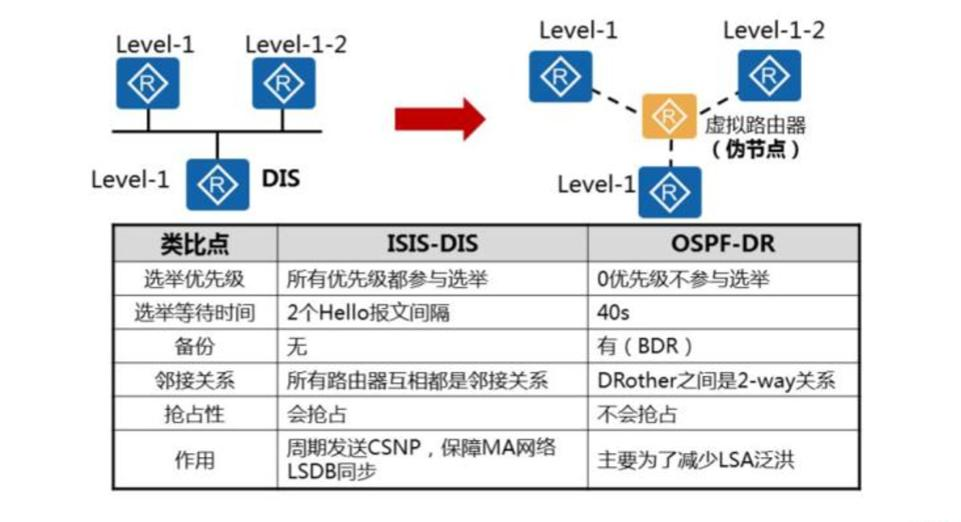 IS-IS 的 DIS （伪节点） 及 DIS 和 OSPF中DR 的区别