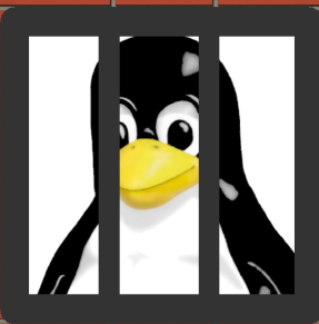 jailhouse同时运行2个Linux虚拟机（inmate)[通俗易懂]