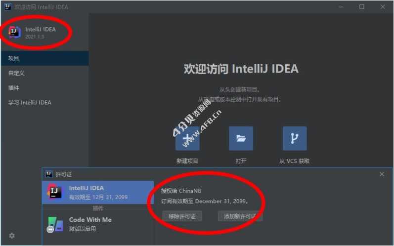 IntelliJ IDEA 2024.1.3 Ultimate 永久激活版