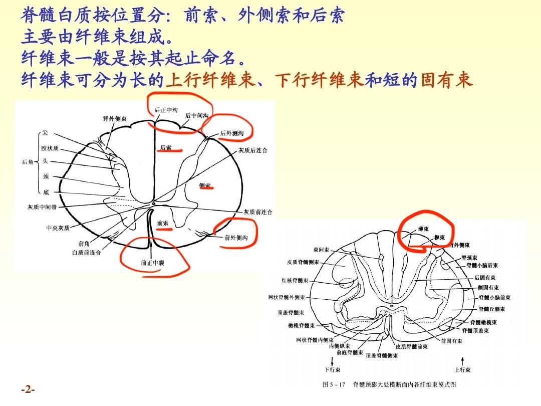 功能和通路_什么叫做通路[通俗易懂]