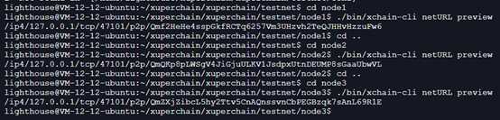 [区块链]Ubuntu系统下Xuperchain区块链多结点网络部署[亲测有效]
