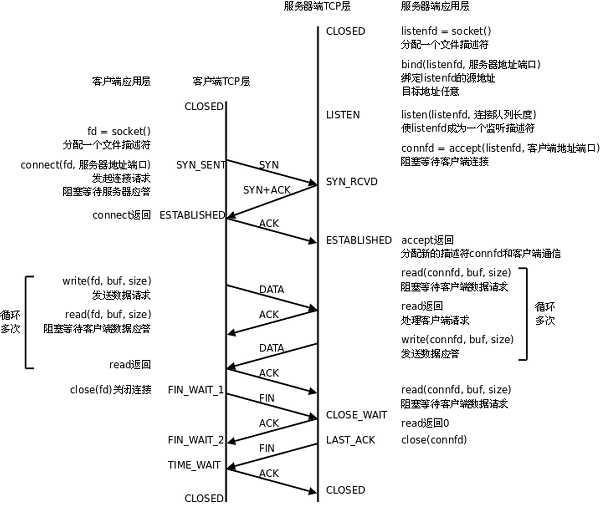 Linux网络编程一站式学习[通俗易懂]