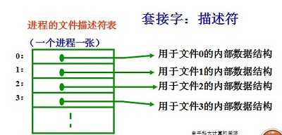 socket函数参数详解_spring websocket