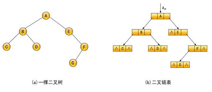数据结构c语言版二叉树遍历_二叉树遍历c++实现
