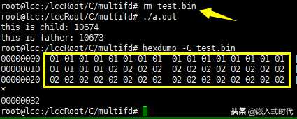 linux c 多进程_python多进程写入同一文件[通俗易懂]