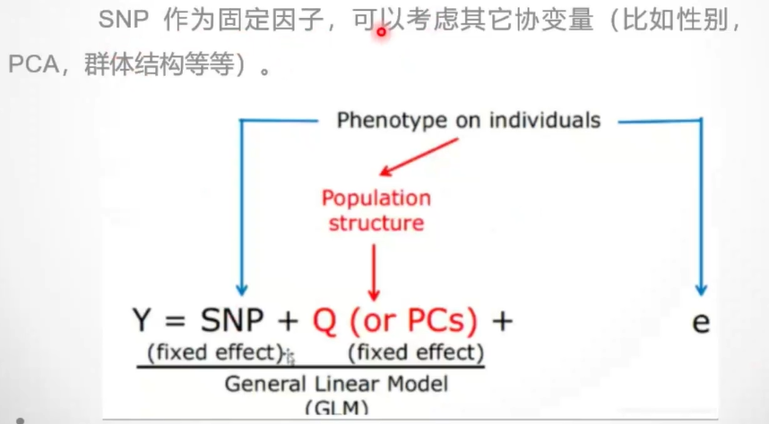 mlcm医学上是什么意思_mlcm医学上是什么意思[通俗易懂]