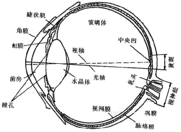 双目立体视觉匹配_3d平行眼图片[通俗易懂]