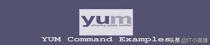 yum安装的软件在哪里_linux卸载yum命令