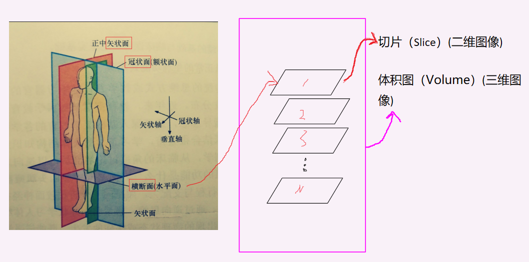 医学图像格式dicom_医院用什么软件打开dcm文件