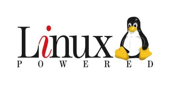 linux常用查找命令_linux基础知识点