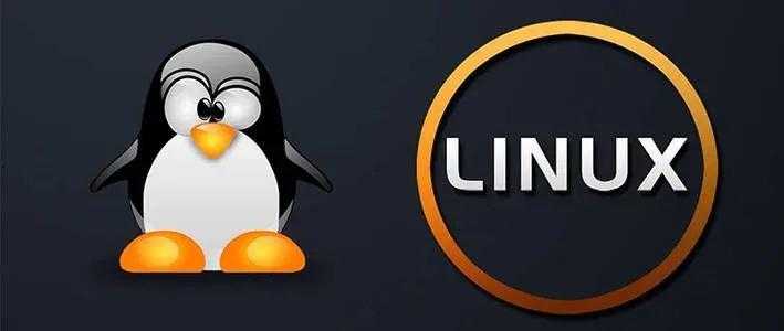 linux java软件_程序员入门「建议收藏」