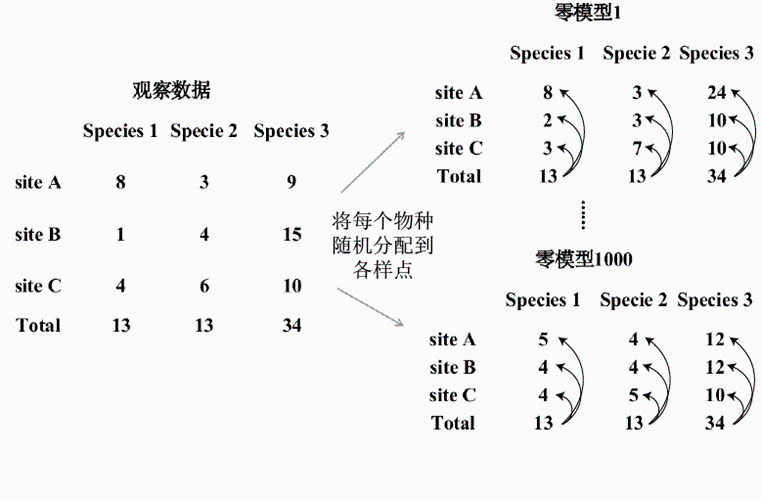 零模型模拟示意图