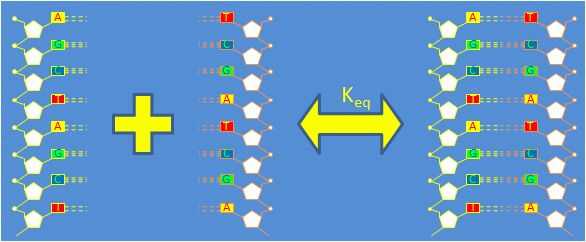 pcr设计引物的原理_PCR引物设计