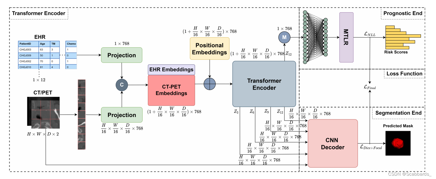 TMSS: 一个端对端的用于分割以及生存预测的基于transformer的多模态网络