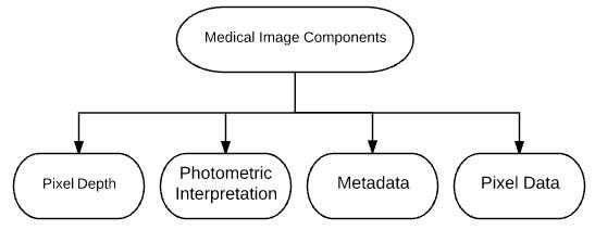 深度学习下的医学图像分析（四）
