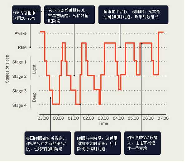 睡眠的重要性_睡眠有强大的修复能力