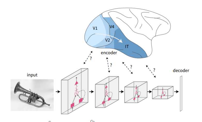 神经网络和生物神经接轨方法_神经科学与人工智能