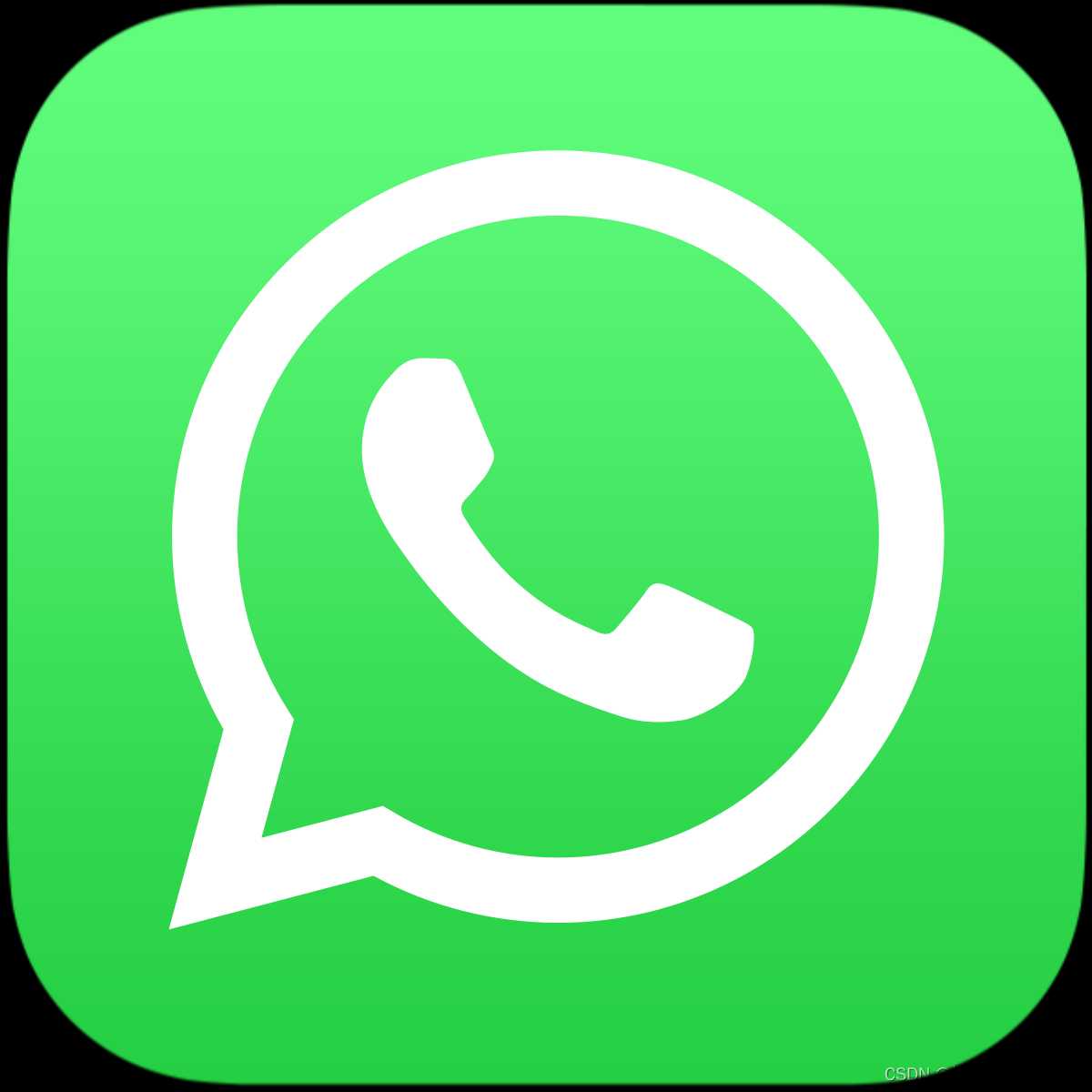 WhatsApp网页版（电脑版）使用教程