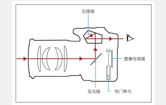 单反和微单的区别_新手如何选择相机