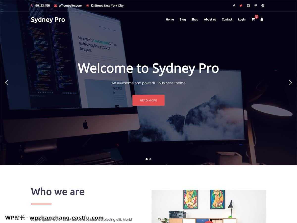 Sydney Pro WordPress企业主题