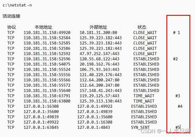 netstat -n的作用_输入netstat命令