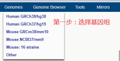 ucsc genome brower的用法和说明（一）