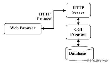 php cgi和fastcgi_NET和PHP有什么区别