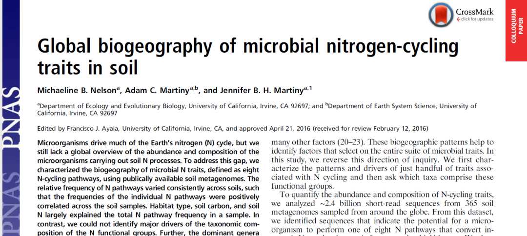 土壤生物在氮循环中的作用_参与土壤氮转化的微生物[通俗易懂]