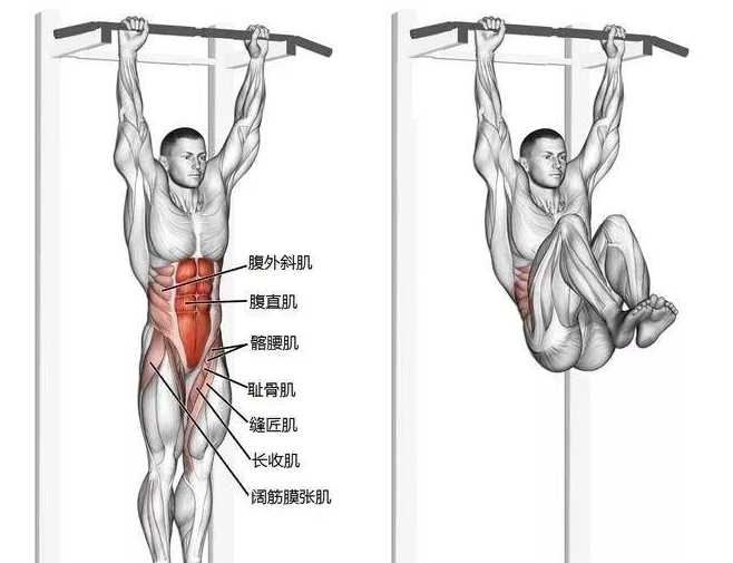 悬垂举腿可以减肚子吗_腹部锻炼9个动作