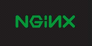 Nginx 联合创始人已被释放：「这是典型的敲诈，就这么简单」