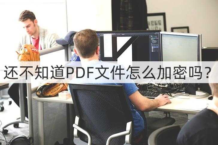 还不知道pdf文件怎么加密吗?这几个方法用起来都不一样_PDF文档如何加密