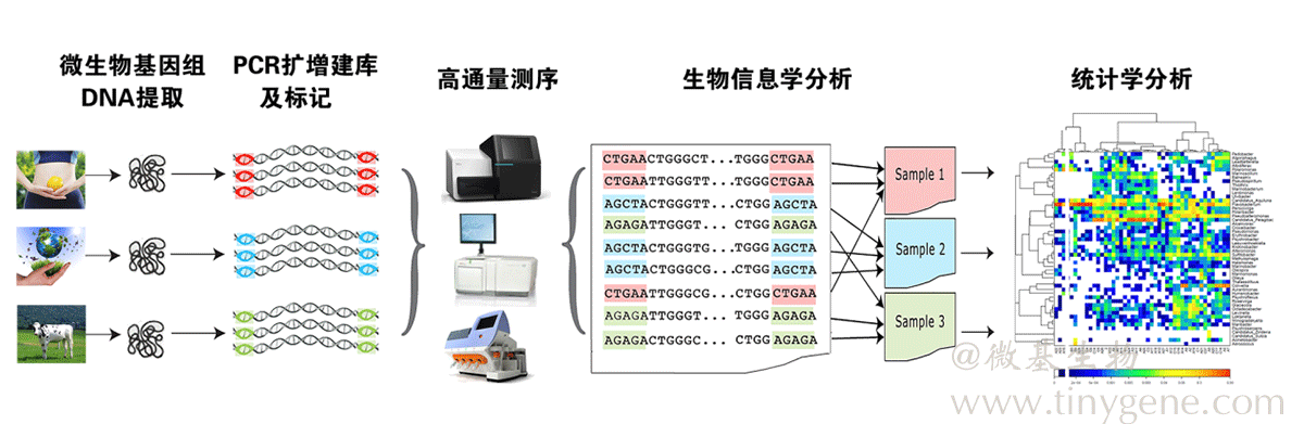 水体微生物多样性分析多少ml水_微生物群落多样性分析