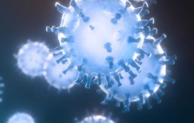 新冠肺炎传播毒株主要是_新型冠状病毒毒株或其他潜在感染性