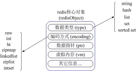 redis五种数据类型及应用场景是什么_mongodb数据类型