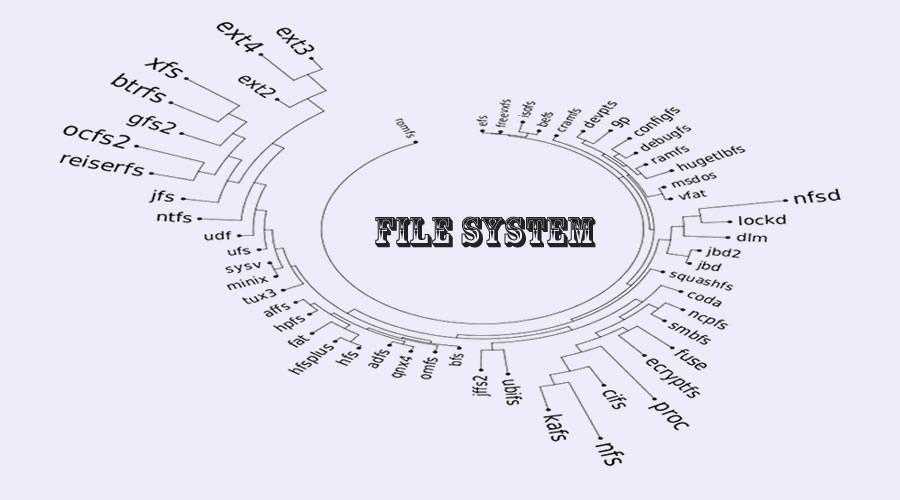 linux如何判断文件类型_常用的文件系统