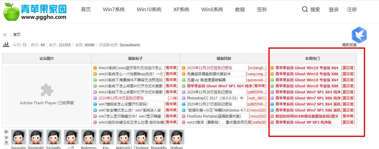 青苹果重装系统教程_青苹果家园win10