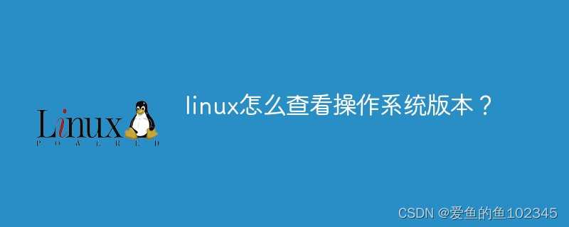 linux怎么查看操作系统版本「建议收藏」