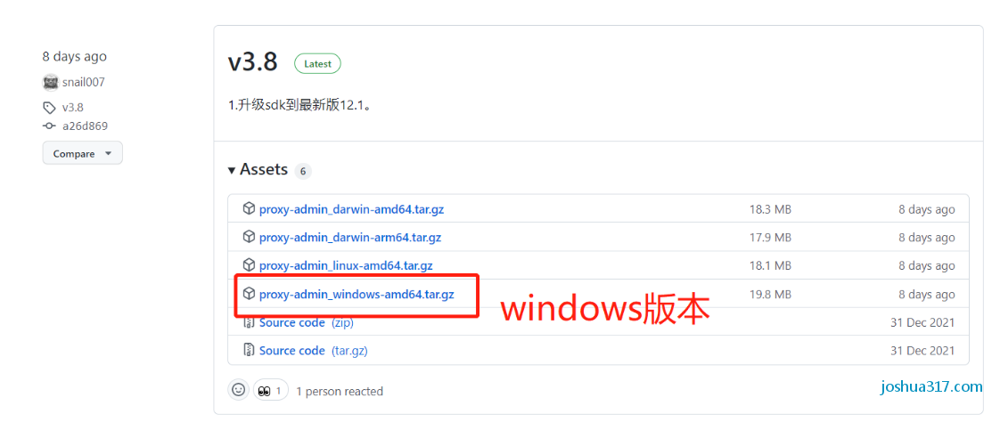 HTTP代理服务器_S模式win10