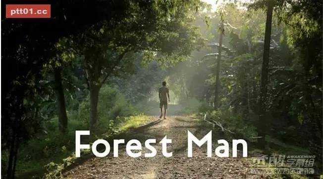 Forest Man一个人的力量「建议收藏」