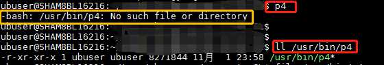 Linux执行可执行文件提示No such file or directory的解决方法(位数不匹配)