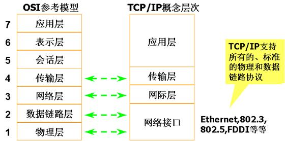 系统网络概述_什么叫计算机网络系统