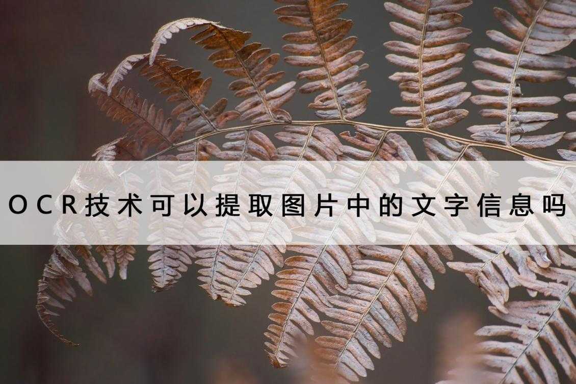 ocr识别有什么用_怎么扫描图片上的文字